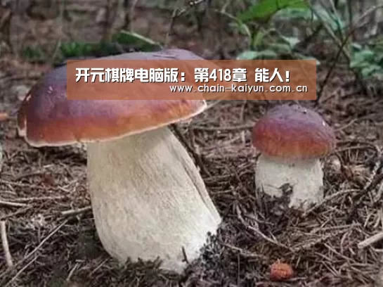 开元棋牌电脑版