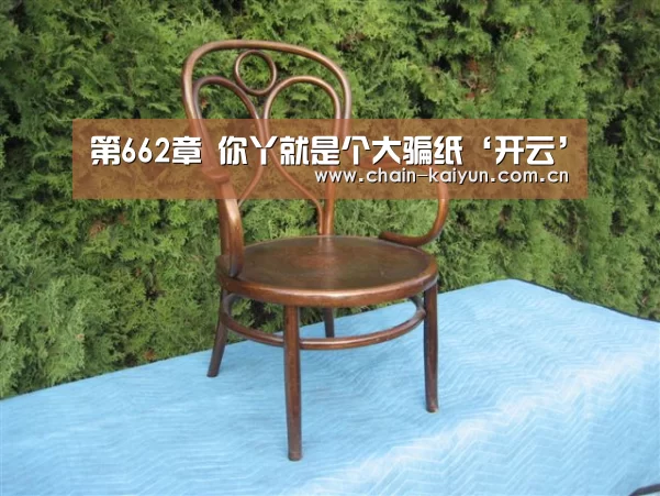第662章 你丫就是个大骗纸‘开云’(图3) 开云