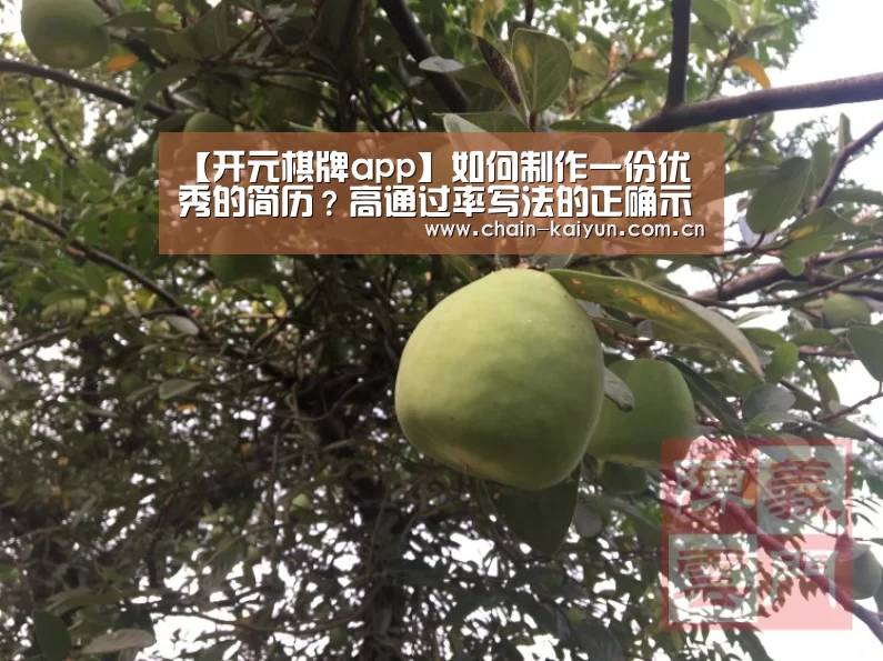 开云
