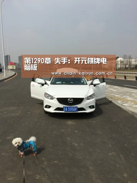 开云