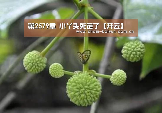 第2579章 小丫头死定了【开云】(图3) 开元棋牌下载